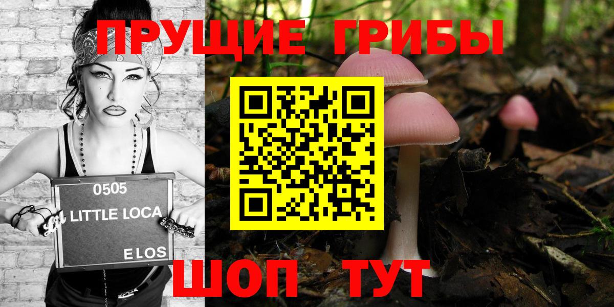 Красноармейск  Галлюциногенные грибы мицелий  Вход с VPN 